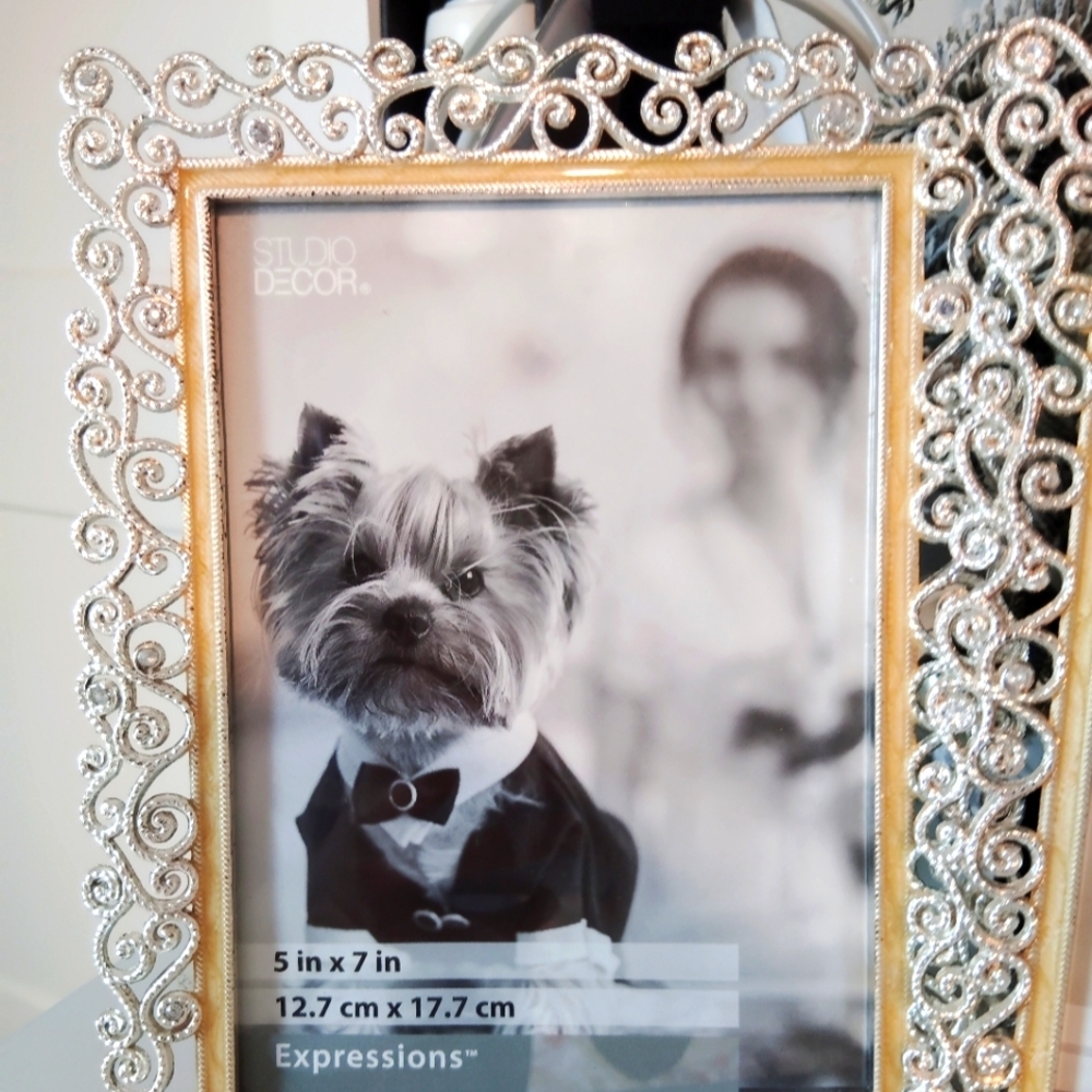 Expressions Silver Decorative Frame Pack Of 2 - Picture 2 of 3